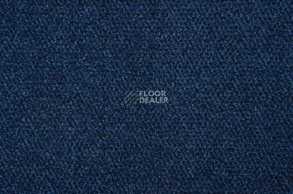 Грязезащитные покрытия Vebe Alba Pc Alba pvc 30 фото 1 | FLOORDEALER